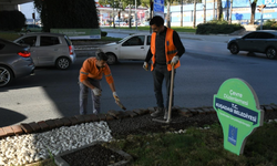 Kuşadası Yeni Sezona "Işıl Işıl" Giriyor
