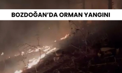 Bozdoğan’da orman yangını