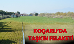 Koçarlı’da Taşkın Felaketi