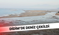 Didim’de Deniz Çekildi