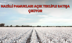 Nazilli Pamukları Açık Teklifle Satışa Çıkıyor