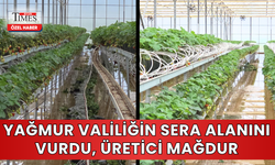 Yağmur Valiliğin Sera Alanını Vurdu, Üretici Mağdur