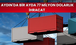 Aydın'da bir ayda 77 milyon dolarlık ihracat