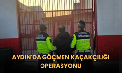 Aydın'da göçmen kaçakçılığı operasyonu
