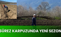 Sürez Karpuzunda Yeni Sezon