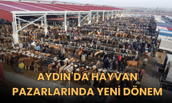 Aydın'da hayvan pazarlarında yeni dönem