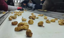 Aydın İncirinde Modern Dönüşüm