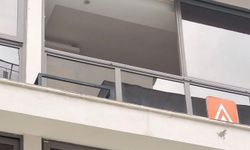 Kuşadası’nda Yürekler Ağza Geldi