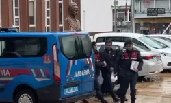 Koçarlı’daki Ağaçlara Zarar Veren Kişi Serbest