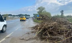 Menderes Taştı, Tarlalar Sular Altında