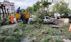 Efeler Belediyesi Ekipleri Fırtınada Hızlı Müdahale