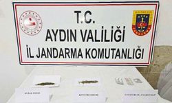 Aydın’da 3 İlçeye Uyuşturucu Operasyonu