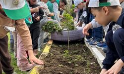 Yenipazar’da Miniklerden Fidan Seferberliği