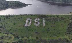 Aydın'da Yağmurlar Bereket Getirdi