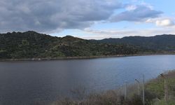 Aydın'da yağmurlar bereket getirdi