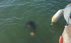 İzmir’de Engelli Adamın Trajik Sonu