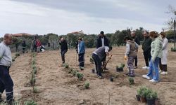 Söke, Lavanta Temalı Parka Kavuşuyor