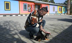 Kuşadası Belediyesi’nden “Sosis”e Sevgi Dolu Yuva