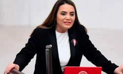 Başkentte Türkeş Mezarı Krizi: Kızı Mezara Ulaşamadı