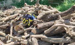 Mağlubiyeti Sindiremeyen Taraftar, Öfkesini Formadan Çıkardı