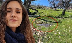 Gülistan Doku Buraya mı Gömüldü