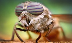 Büyükşehir ve İlçe Belediyeleri Karşı Karşıya Geldi