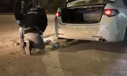 71 İlde Dev Operasyon