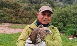 Kuşadası’nda Yaralı Şahin Doğaya Döndü