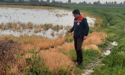 Söke’de Tarım Arazilerinde Hasar Tespiti