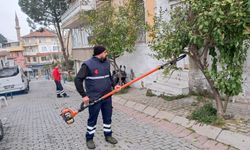 Efeler’de Sit Alanlarında Budama Çalışması