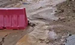 Aydın’da Yağış Felakete Dönüştü