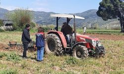 Söke'de Hububat Ekili Araziler Denetlendi