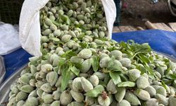 Tezgahları Meyveler süsledi, sepetler Boş Kaldı