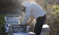 Yağışla Gelen Bereket Arıcıyı Sevindirdi