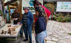 Kıyıya Vuran Kemikler Bilimsel İncelemeye Alındı