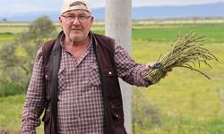 Doğadan Topluyor, Mahallesine Dağıtıyor