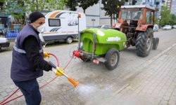 Park ve Bahçeler Ekipleri Sahada