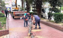 Uğur Mumcu Parkı’nda Güvenli Dokunuş