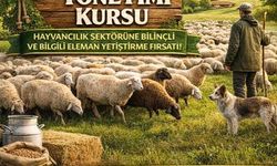 Karacasu'da Sürü Yönetimi Kursu