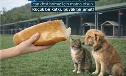 Germencik’te Gıda İsrafına Karşı Örnek Proje