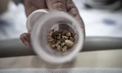 Tıp Dünyasını Şaşkına Çeviren Vaka