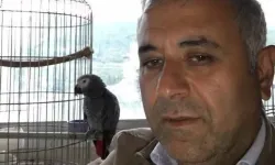 İş İnsanı Kalbine Yenik Düştü