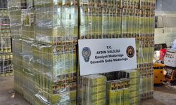 250 Bin TL’lik Tağişiş Operasyon