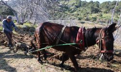 Köyün En Genci 50 Yaşında