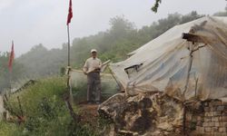 İnsanlardan Kaçtı, Dağda Hayat Buldu