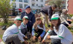 70 Yıllık Çamların Yerine Yeni Ağaçlar Dikildi