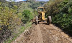 Aydın'da 17 İlçede Eş Zamanlı Yol Seferberliği