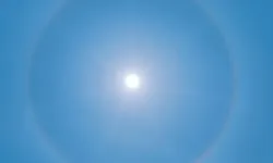 Sperm Hareketliliği Yaz Aylarında Artıyor