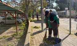 Efeler'in Her Noktasında Çalışmalar Sürüyor