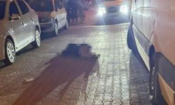 Otel Önünde Silahlı Dehşet